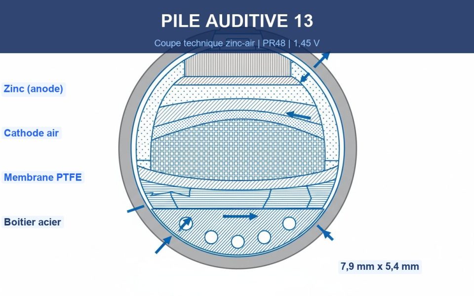 Pile auditive 13 - coupe technique zinc-air PR48 montrant les couches internes